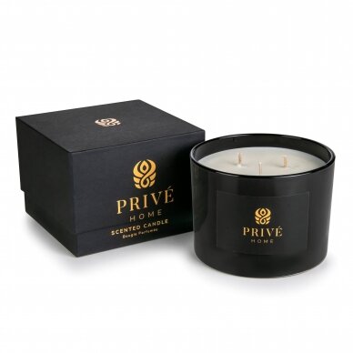 Žvakė PRIVE HOME Rose Pivoine PH-C500B-004-A